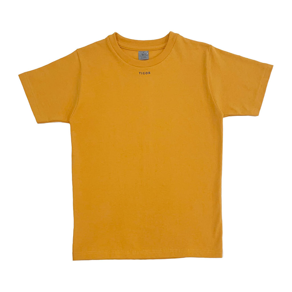 Camiseta Manga Curta Infantil Masculina Tigor T. Tigre em Oferta na Shopee