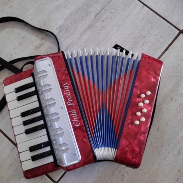 Sanfona Infantil Acordeon 8 Baixos 17 Teclas - Vermelho - Original