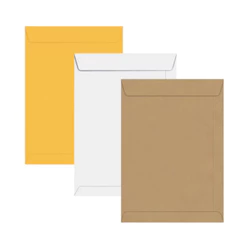Kit Envelope Saco Kraft Ouro Branco 10 Unidades 260x360mm 80g - Foroni