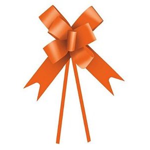 Laço Fácil Laranja - 10 unidades - Cromus - Rizzo