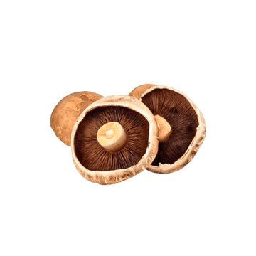 Cogumelo Portobello Ifrutus
