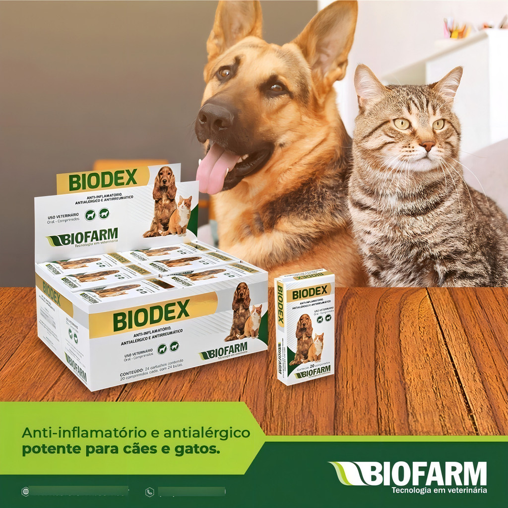 Biodex Dexametasona Para Inflamação Artrite, Artrose, Ouvido, Dermatite — imagem 2 de 2