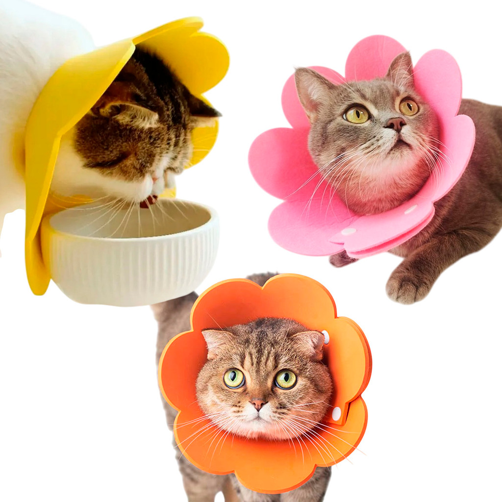 Colar Ellizabetano Cirurgia Gato Pet Caes Cone Ajustavel Dobravel Confortavel Anti Lambida Recuperaçao