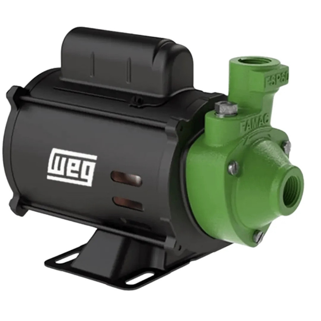MOTOBOMBA PERIFERICA FSP60-1 M1/2CV-60X6,3MM-BR-220V-2P-R-60HZ-IP21-IRN-GCB-VD STD - FAMAC
