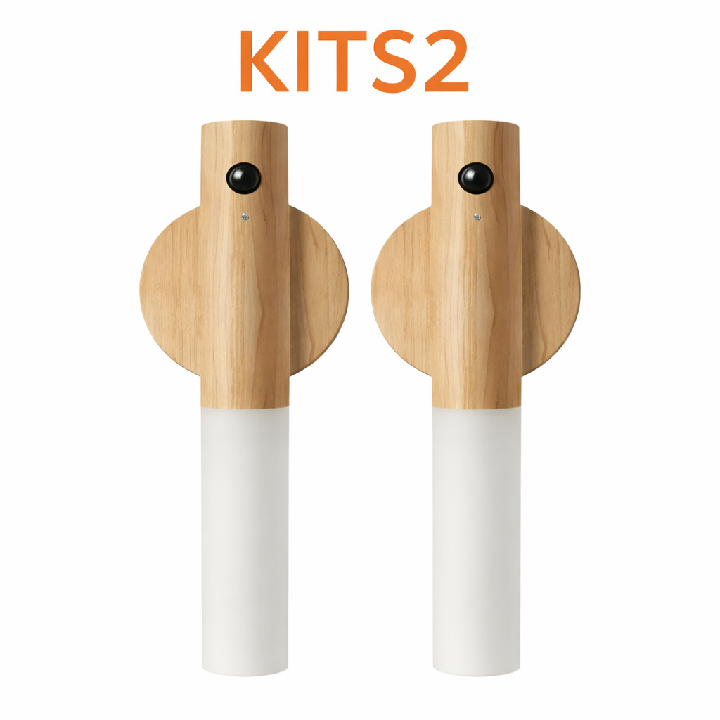 Kit 2 Luz Noturna LED Sensor de Movimento USB Recarregável Luz Armário Quarto