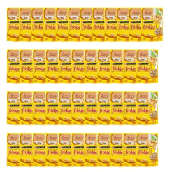 Pack Nestlé Purina Friskies Ração Úmida Para Gatos Adultos Frango Ao Molho com 45 Sachês 85g
