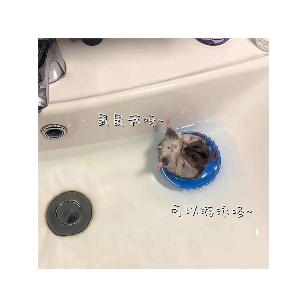 Brinquedo de pássaro pequeno Hamster anel de natação papagaio anel de natação decoração banho tiro aliviar o tédio adere