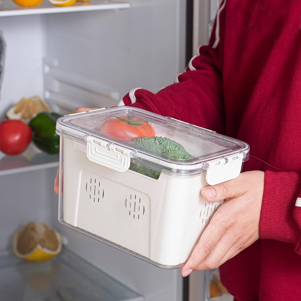 Pote Vasilha Frutas Verduras Legumes Alimento 23x16cm 2 Camadas Reduz Umidade de Alimento Organiza Geladeira Cozinha