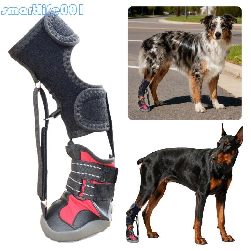 S * Cinta Para Pés Carretel Cães Problemas, Sapato Corretivo