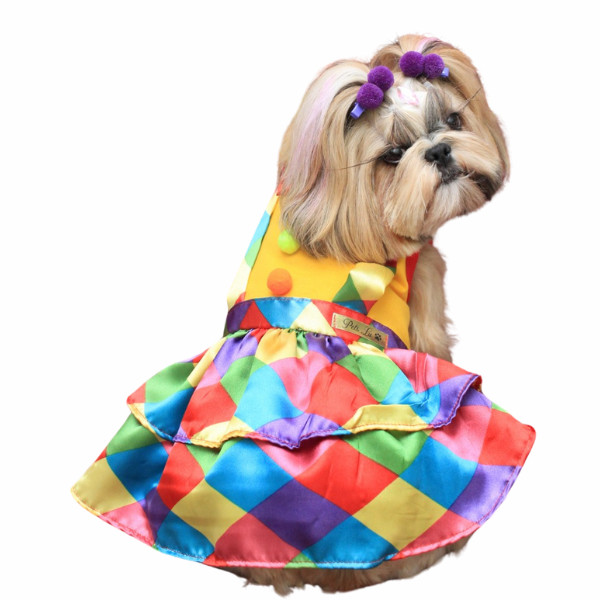 Roupa Pet - Palhaça PomPom Modelo Fantasia em Oferta na Shopee