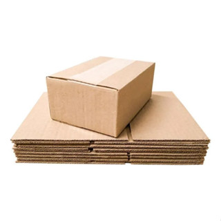 Caixa 16x11x6 100 Unidade Envio Correios Flex Envios shopee em Oferta na Shopee