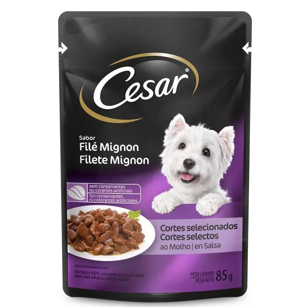 Kit Ração Úmida Cortes Selecionados Filé Mignon para Cães Adultos 20 Unidades Cesar Sachê em Oferta na Shopee