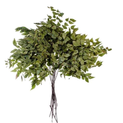 Kit 40 Galhos De Avenca Natural para Decorações, Arranjos e Buquê - Kit 50 (Galhos Avenca)
