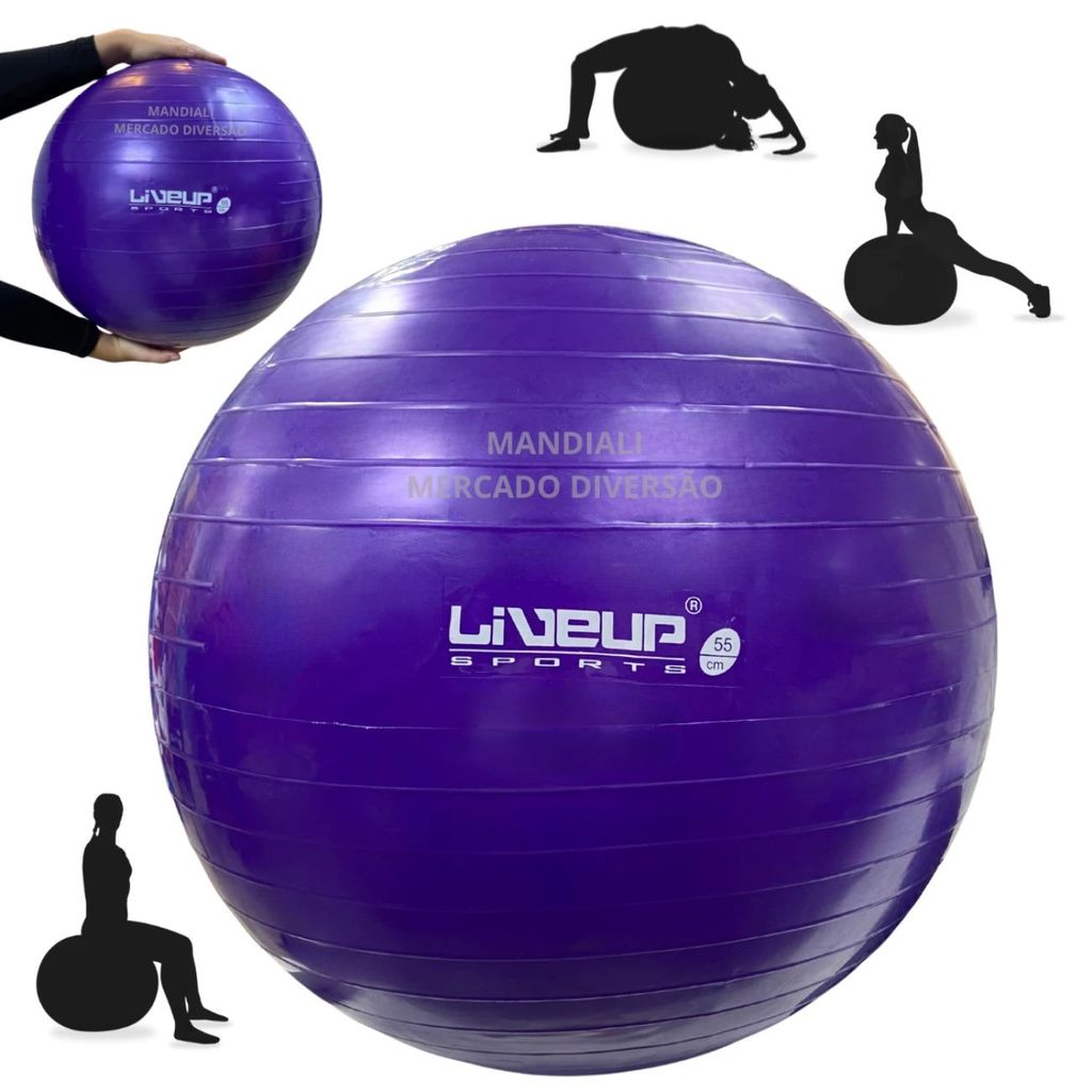 Bola Suíça 55cm Roxa Pilates Yoga Ginástica Exercícios Academia