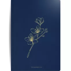 Caderneta Sem Pauta Anotações Moleskine | Colossenses