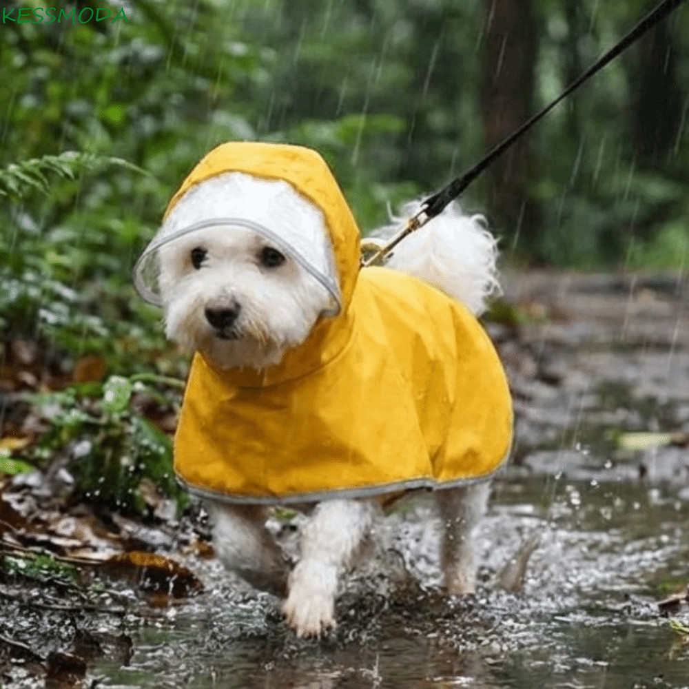Capa Impermeável Kesselmanmoda , De Chuva Com Capuz Para Cachorro Resistente À Sujeira Furo Trela Animais De Estimação C