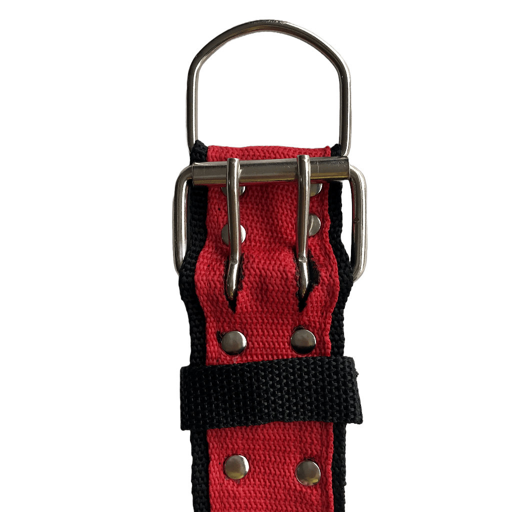 Coleira De Nylon Duplo Resistente Com Fecho Fivela 2 Pinos Para Cães De Médio E Grande Porte — imagem 2 de 2