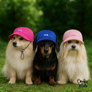 Boné Pet Ajustável de Tecido Cachorro Gato em Tecido P M G Femea Macho Protege do Sol em Oferta na Shopee