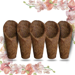 Kit 5 Vaso Cachepot Para Orquídeas Fibra de Coco Modelo Concha Tamanho M (Médio) - (5 unidades)