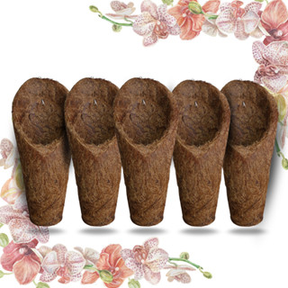 Kit 5 Vaso Cachepot Para Orquídeas Fibra de Coco Modelo Concha Tamanho M (Médio) - (5 unidades) em Oferta na Shopee