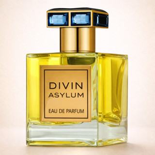 Perfume Arabe Masculino French Avenue Divin Asylum - 100Ml em Oferta na Shopee