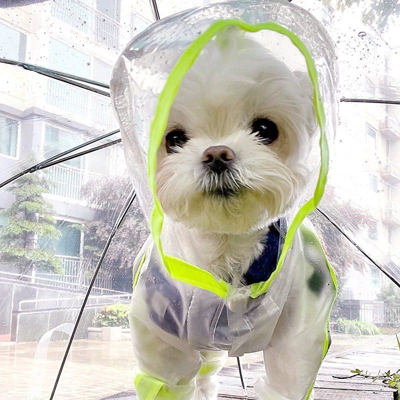 Capa de chuva especial para cachorros com tração Bichon Teddy Filhotes pequenos para animais de estimação à prova d'água