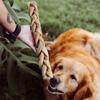 Trança Pele Bovina SEM PELOS Mordedor Natural para Cães 1 unid - Natuka em Oferta na Shopee