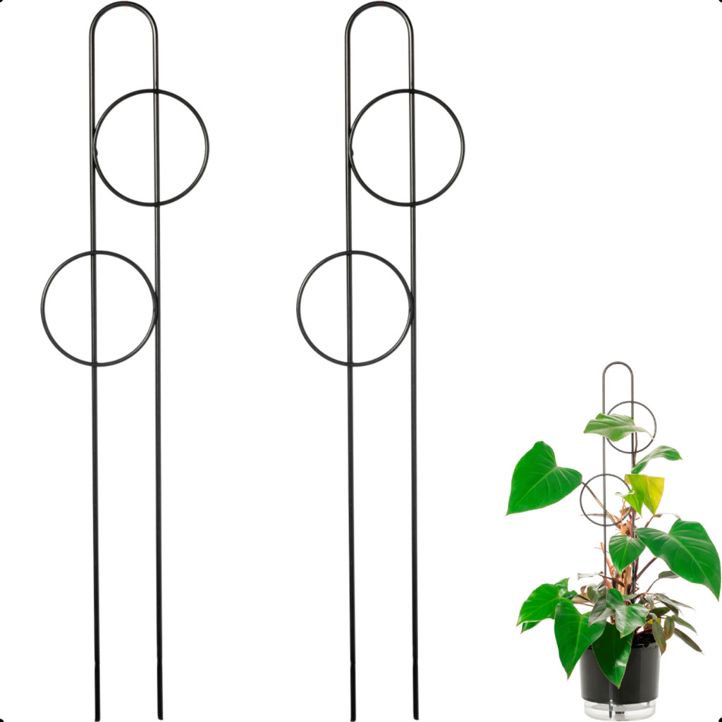 Kit 2 Suporte Tutor Haste Raiz 80cm Apoio Estaca de Ferro para Vasos de Plantas