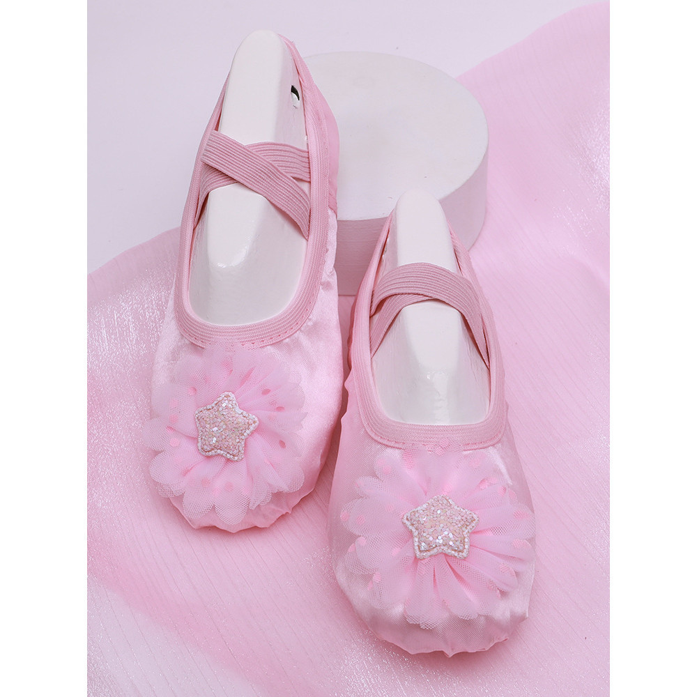 Sapatos De Dança Com Sola Macia Para Meninas , Treinamento De Ioga De Balé Profissional Rosa Garra De Gato E Design De P