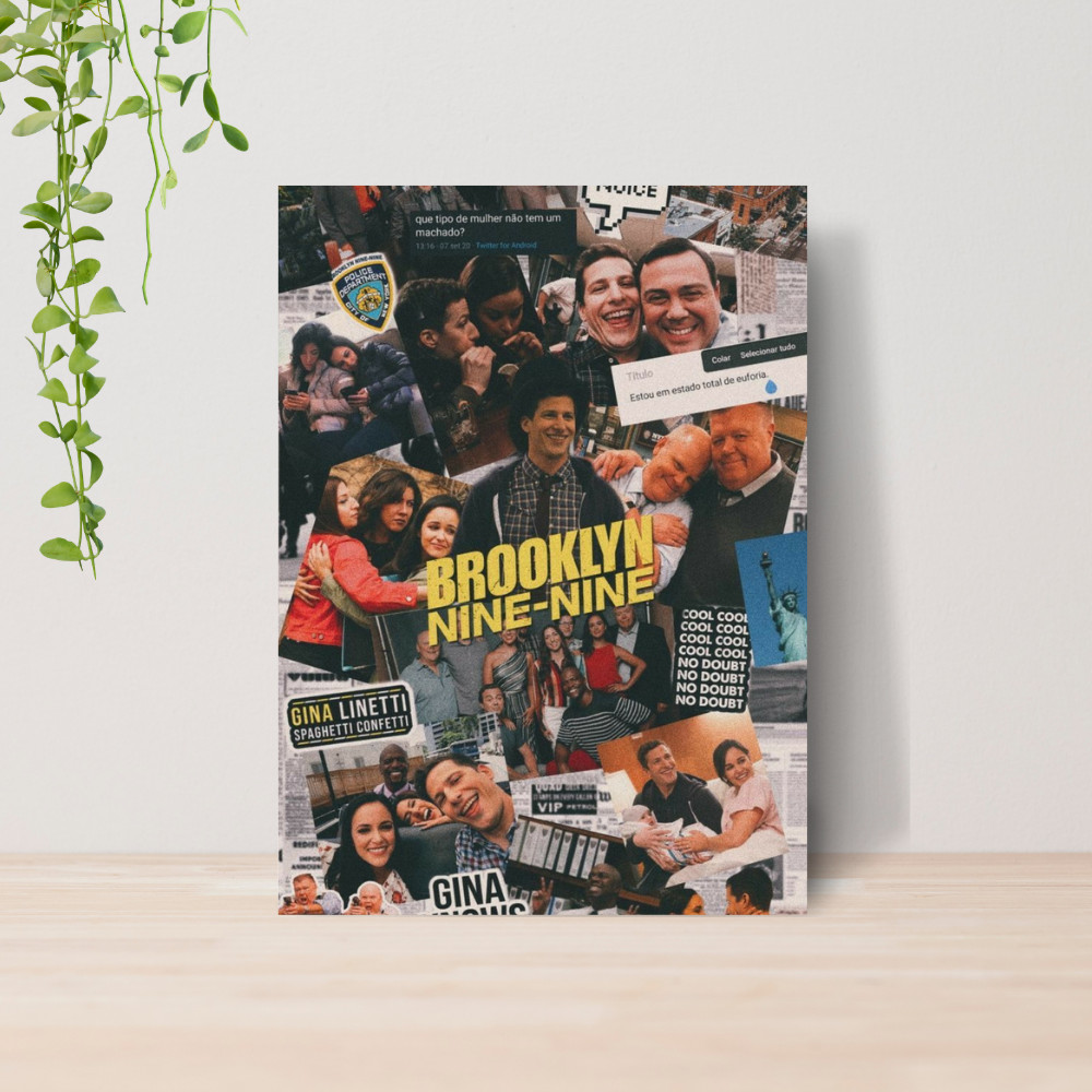 Quadro Decorativo Brooklyn Nine Nine Série 05 | Placa 20x28
