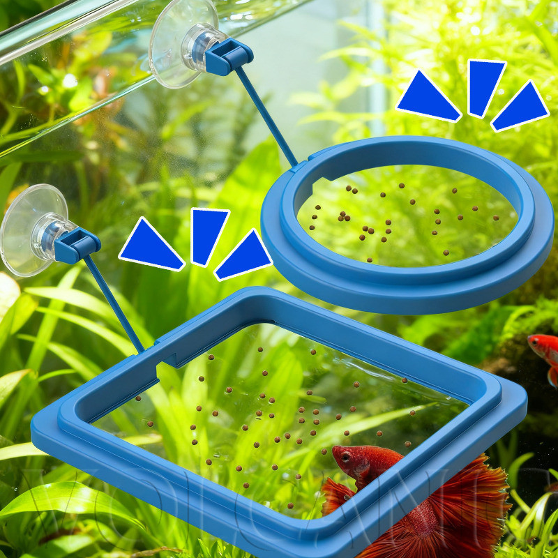 [Envio Rápido] Anel De Alimentação De Tanque De Peixes De 2 A 5 Peças-Para Tartaruga De Camarão Dourado-Bandeja De Comid