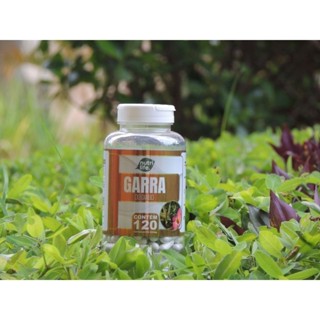 1 UN Garra Do Diabo 120Caps 500Mg - Nutri Life em Oferta na Shopee