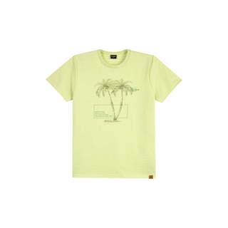 Camiseta Juvenil Menino Moletinho Linho Beats Verde em Oferta na Shopee