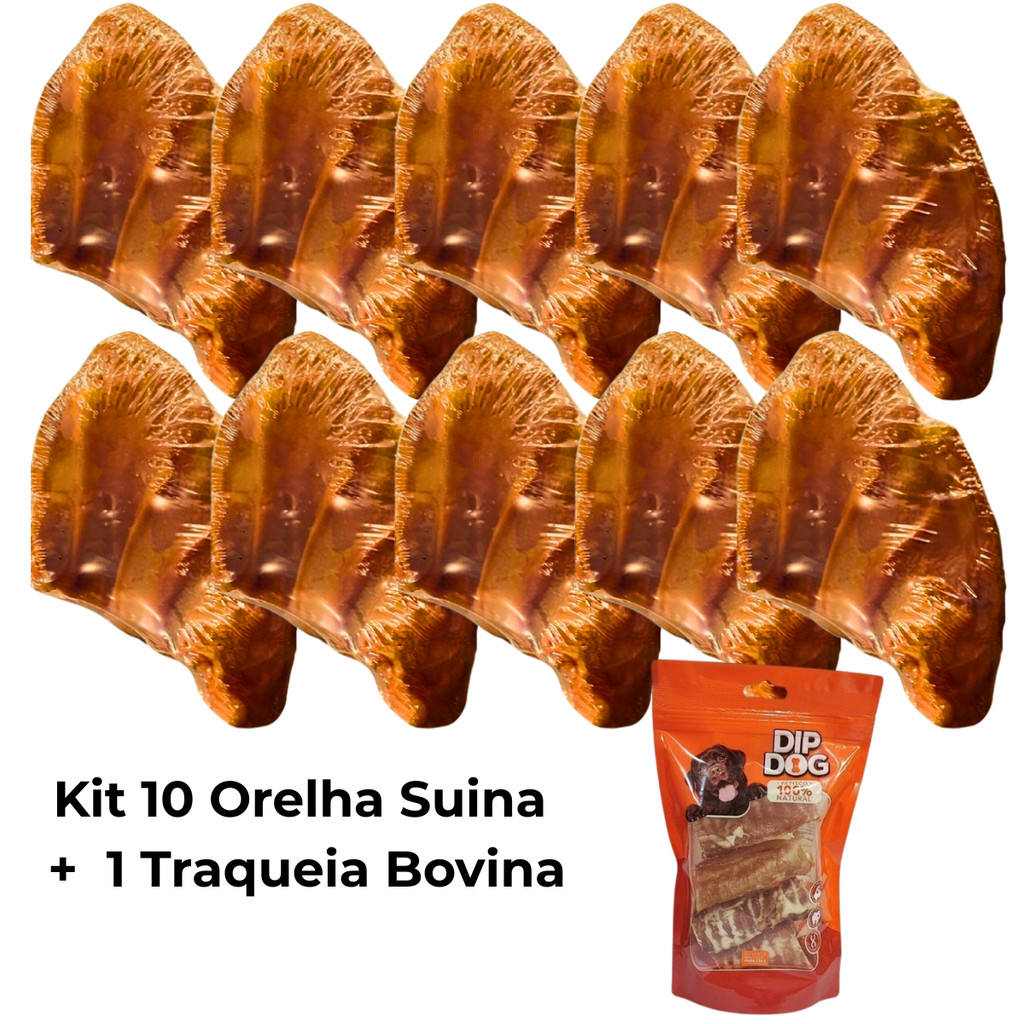 Kit 10 Mordedores Orelha Suína Petisco Natural Desidratada DIP DOG + 1 Traqueia bovina