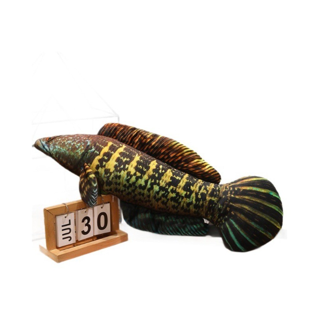 Simulação Crucian Carpa Aruanã Peixe Brinquedo De Pelúcia Multicolorido Preto Verde Amarelo Boneca Treinamento Para Anim
