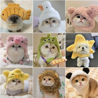 Animal de estimação três olhos menino chapelaria estrela do mar Snapper chapéu porco pintainho gato pequeno urso Panda c
