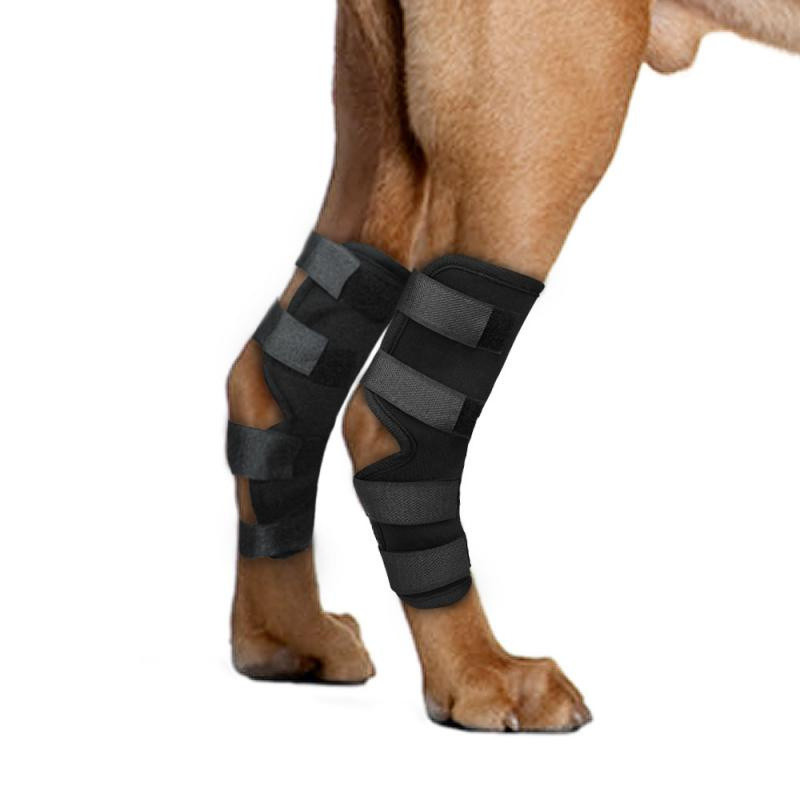Equipamento De Proteção Para Animais De Estimação , Leggings Cães , Joelheiras , Cotoveleiras , Bandagens Mágicas , Anti