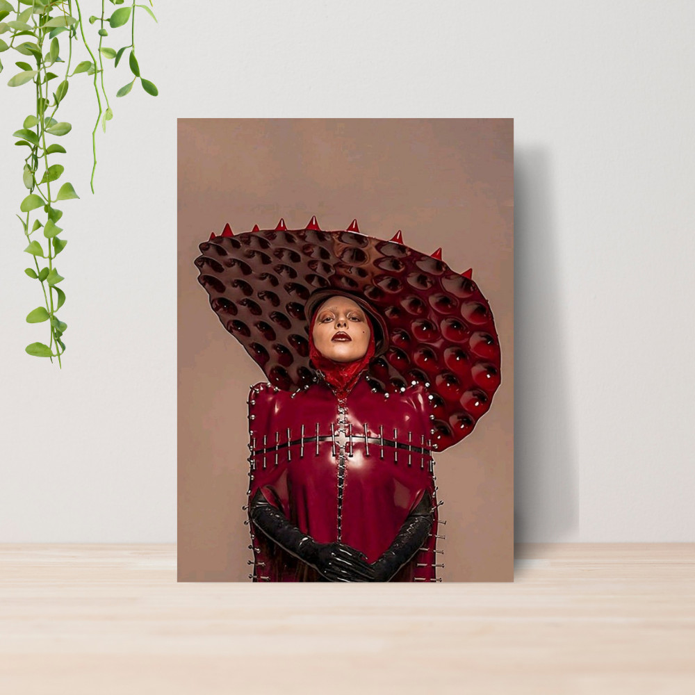 Quadro Decorativo Lady Gaga Pop Music Diva Cantora Fã 04 | Placa 20x28