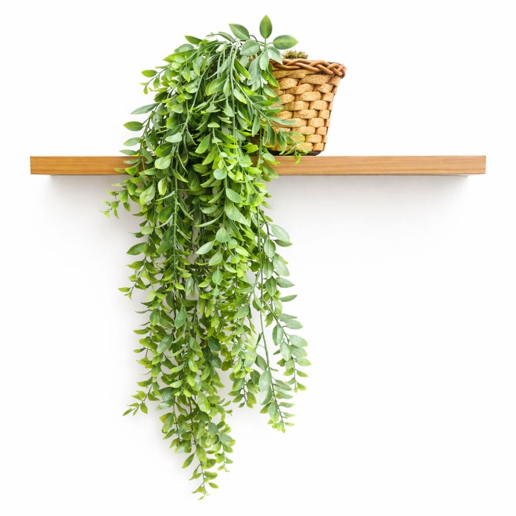 Artificial Suspensa Pendente Com Vaso De Prateleira Original em Oferta na Shopee