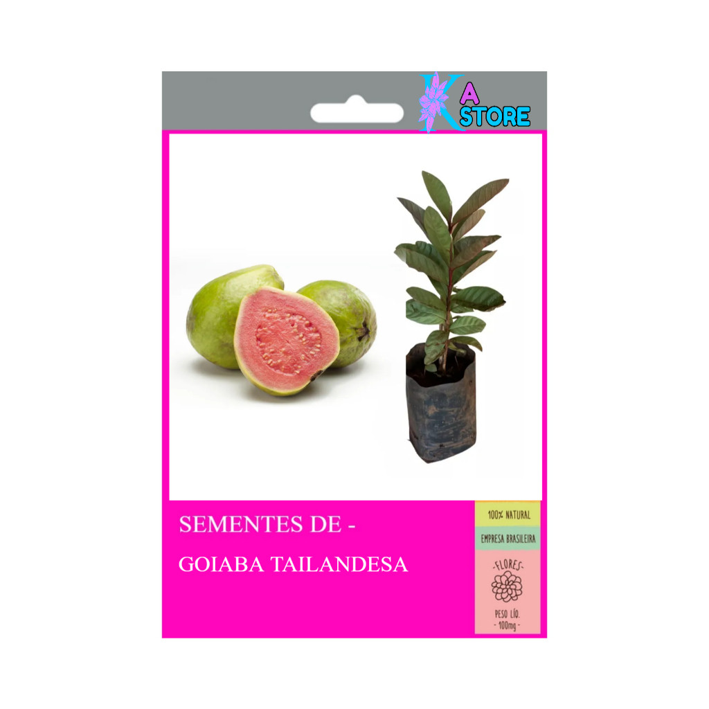 SEMENTES DE GOIABA TAILANDESA ( 20 SEMENETS) com manual