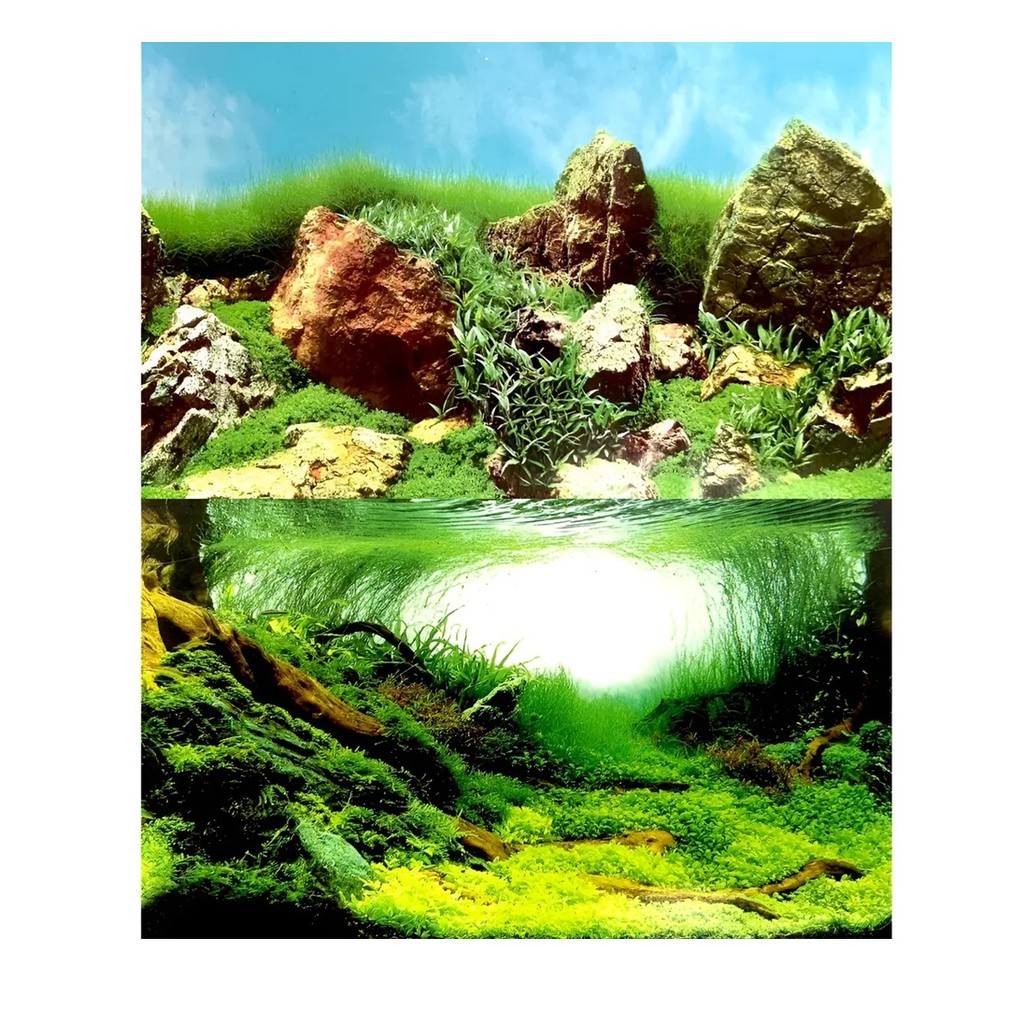 Ocean Tech Painel De Fundo P/ Aquario C52/c61 50cm - Metro