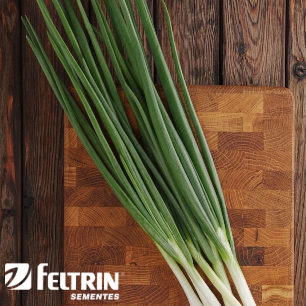 Sementes de Tempero Cebolinha Todo o Ano 400mg Feltrin