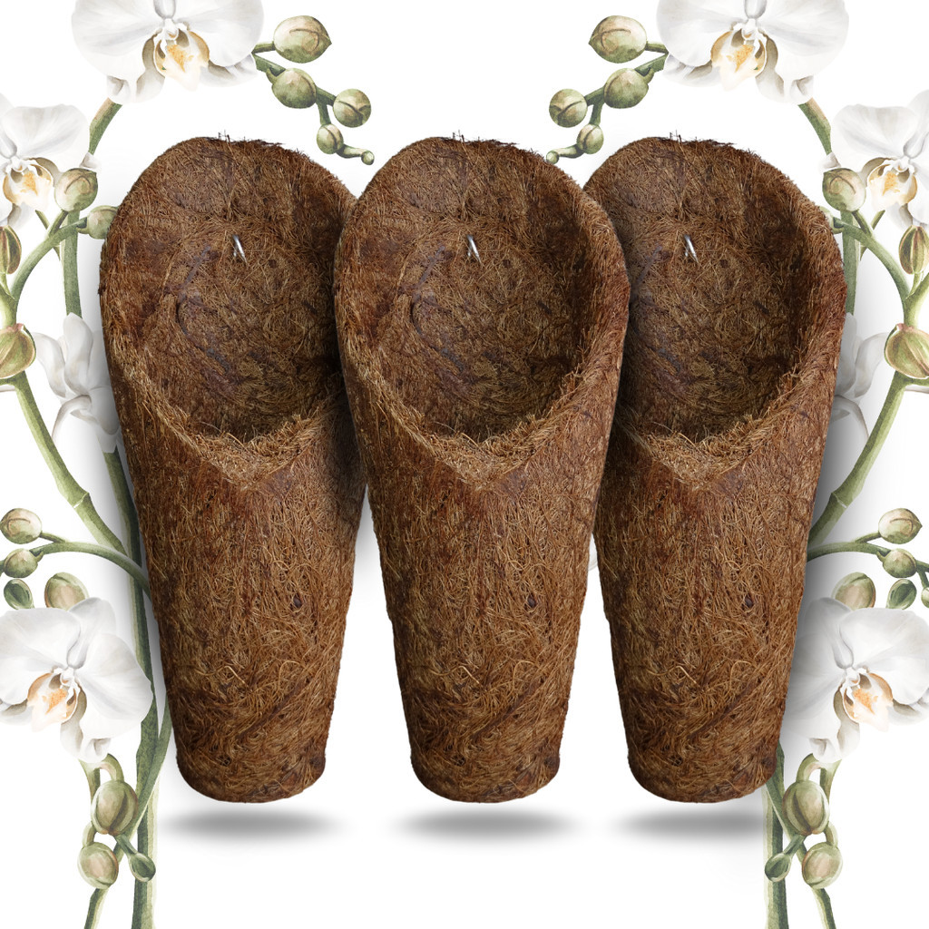 Kit 3 Vaso Cachepot Para Orquídeas Fibra de Coco Modelo Concha Tamanho M (Médio) - (3 unidades) em Oferta na Shopee