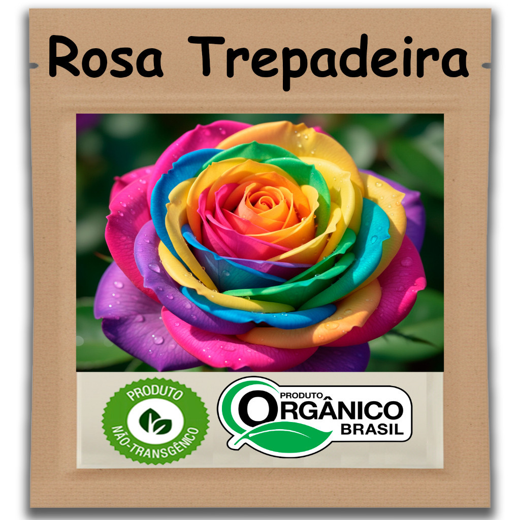 Rara Raras Sementes de Rosa Trepadeira Cores Variadas 125 Sementes