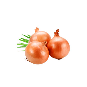 Cebola Comum Benassi