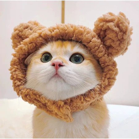 Chapéu de Algodão Macio Touca Ursinho para Gato e Cachorro Ajustável Acessório de Estimação