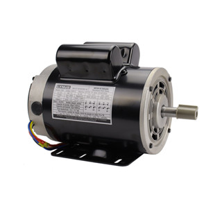 Motor Elétrico 2CV 2 Pólos Monof Bivolt Reversível IP21 56H Lynus em Oferta na Shopee
