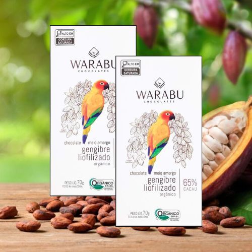 KIT 2 UNID. CHOCOLATE VEGANO ORGÂNICO GENGIBRE LIOFILIZADO 65% CACAU 70g