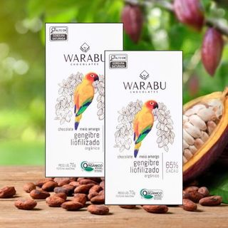 KIT 2 UNID. CHOCOLATE VEGANO ORGÂNICO GENGIBRE LIOFILIZADO 65% CACAU 70g