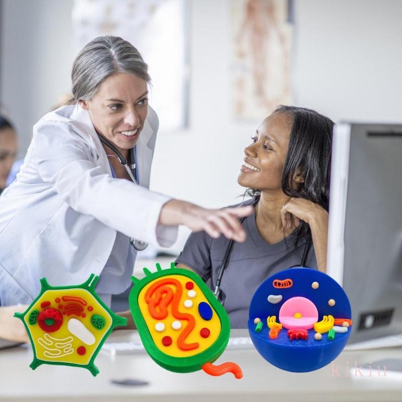 Modelo Anatômico Comparação Células E Animais kikiu Para Educação Laboratório em Oferta na Shopee